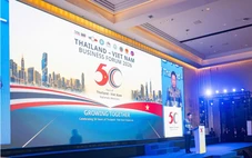 Emall xuất khẩu giày Pierre Cardin sang Thái Lan