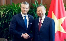 'Việt Nam có khả năng đóng góp thực chất cho các sáng kiến quốc tế vì hòa bình'