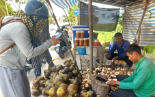 Du khách về phum sóc An Giang thưởng thức sản phẩm từ cây thốt nốt thơm ngọt, mát lành