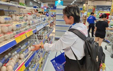 Giá gà và trứng giảm sâu, người nuôi thua lỗ