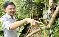 Người Xê Đăng bày ma trận bẫy bắt 'ông Tý' trộm sâm Ngọc Linh