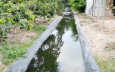 Trữ nước chống hạn, cẩn thận mầm bệnh từ muỗi