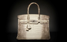 Túi Hermès da cá sấu bạch tạng: Biểu tượng xa xỉ được giới siêu giàu săn lùng