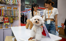 Boss mèo giờ có cả phòng vệ sinh gắn camera AI