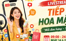 Phiên livestream kéo dài 15 giờ tiếp sức chiến binh hoa mặt trời