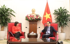 Anh hỗ trợ Việt Nam hút vốn tư nhân cho năng lượng sạch