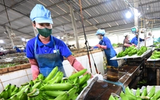 Hàng Việt trong chuỗi ASEAN: Nhiều cơ hội và sức ép cạnh tranh từ thị trường gần