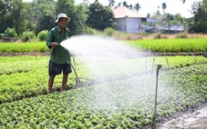 Dạy nhà nông nghệ thuật đặt câu hỏi cho AI