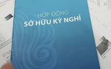 Đừng để 'mật ngọt chết ruồi'