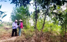 Thu hồi dự án FLC nhưng 'quên' hủy quyết định thu hồi đất