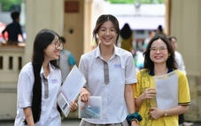 Bài giải 48 mã đề môn tiếng Anh thi tốt nghiệp THPT 2026