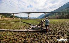 El Nino đã hình thành và có thể nằm trong nhóm mạnh nhất kể từ năm 1950