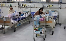 Miền Tây Nam Bộ: Sốt xuất huyết diễn biến phức tạp, nhiều nơi ca bệnh tăng cao