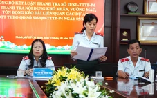 Thanh tra TP.HCM công bố kết luận, kiến nghị gỡ vướng 100 dự án tồn đọng