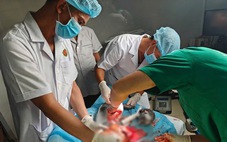 Bệnh xá Trường Sa hội chẩn với Bệnh viện Quân Y 354 cứu ngư dân đứt lìa chân