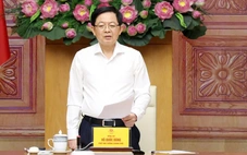 Phó thủ tướng: Mở đợt cao điểm mới, siết chặt thực thi quyền sở hữu trí tuệ