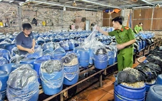 Bắt tạm giam 3 chủ cơ sở dùng hóa chất 6-BAP sản xuất gần 1.000 tấn giá đỗ