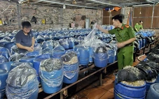 Bắt tạm giam 3 chủ cơ sở dùng hóa chất 6-BAP sản xuất gần 1.000 tấn giá đỗ