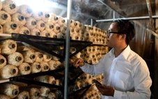 Đầu tư cho nhân lực chất lượng cao: Không chỉ dừng lại ở số người học STEM