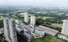 Loạt dự án Cocobay, Golden Hills, Silver Shores, Phú Gia Compound được giao lãnh đạo nào theo dõi?