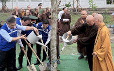 TP.HCM phát triển 'vườn cây đại đoàn kết', lan tỏa lối sống xanh