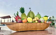 Về miền trái ngọt Đồng Tháp