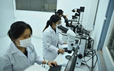 Cần tối thiểu 50.000 - 70.000 tỉ đồng/năm cho hệ thống phòng thí nghiệm quốc gia
