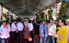 Du khách thích thú check-in với rồng cao 2,5m tạo hình từ trái cây Đồng Tháp