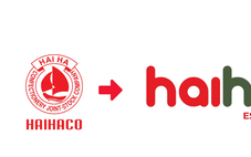 Sau 66 năm, Hải Hà chuẩn bị chuyển mình về thương hiệu