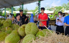 Lắp đầy các xuồng trái cây trưng bày và bán tại chỗ sau sự cố đêm khai mạc