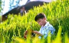 Từ phụ hồ đến phòng thi: kỳ thi cuộc đời của Cứ A Dà