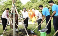 TP.HCM trồng mới nhiều cây xanh tại công viên Phan Đình Phùng