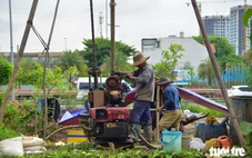 Quyết tâm phê duyệt hướng tuyến metro số 6 đoạn sân bay Tân Sơn Nhất - Phú Hữu trong tháng 6-2026