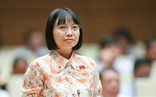 Đại biểu Quốc hội đề xuất quyền 'ngắt kết nối sau giờ làm việc' của người lao động
