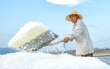 Diêm dân 'cõng nắng' mưu sinh trên cánh đồng muối cuối cùng dưới chân đèo Ngang