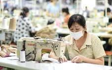 Ách tắc cấp C/O tại địa phương, doanh nghiệp xuất khẩu kiến nghị tháo gỡ khẩn cấp