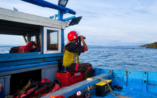 Tạm dừng tìm kiếm 2 người mất tích ở Mũi Nghê vì thời tiết xấu