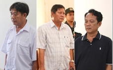 3 cán bộ thú y bị bắt trong vụ heo bệnh bán ra chợ ở Cần Thơ: Một, hai con sâu làm rầu cả nồi canh