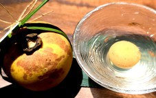 Quả thị lên bàn tiệc, đẹp như ánh trăng soi ngày rằm