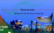 ​Hải sản nào an toàn và chưa an toàn ở bốn tỉnh miền Trung?