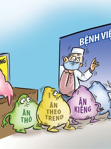 Khi lá gan nhiễm mỡ