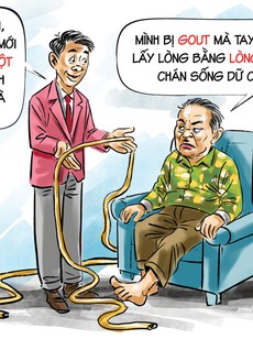 Đãng trí, khi nào không lo thành đáng lo?