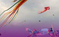 Ngắm cánh đồng diều rực rỡ sắc màu ở TP.HCM