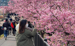 Sắc màu Việt - Nhật: sân chơi sáng tạo cho sinh viên yêu văn hóa