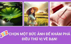 Quiz: Bạn và người ấy đang trong giai đoạn nào?