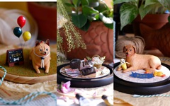 Bất ngờ với mô hình thú cưng bằng bông gòn sống động như thật của 9X Hà thành