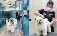 Dịch vụ khách sạn, làm đẹp cho thú cưng tất bật cận Tết Giáp Thìn