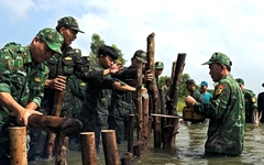 Bộ đội Tây Ninh giúp dân gia cố đê bao bị thủng do lũ ở Đồng Tháp Mười