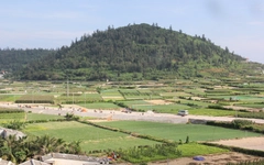 Chuyển 2,8ha đất trồng tỏi ở Lý Sơn sang làm du lịch