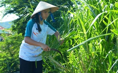 Gương mặt học bổng Vì tương lai Việt Nam: Lịch trình không ngơi nghỉ của cô học trò Gia Lai